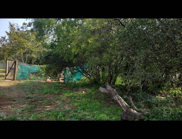 FARM FOR SALE IN CARLSWALD
